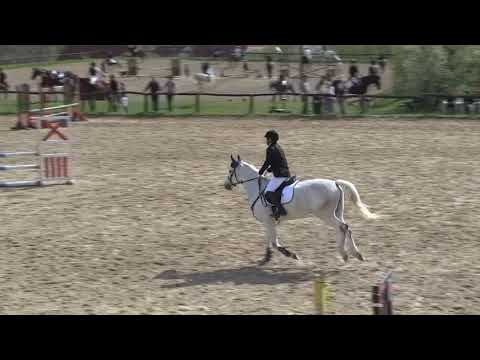 Sóskút, 2018. 04. 14. Panov Maximilian a 80-85 cm-ben.  (díjugratás)