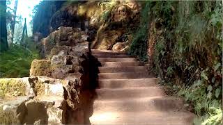 Video review of the Silver Falls North Falls Hike with footage of it's features and terrain.