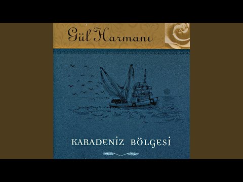 Yayla Yol Havasi (Tulumla) (Instrumental)