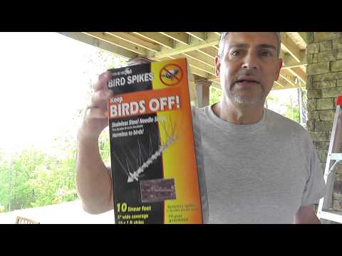YouTube video about: How to keep birds from nesting on downspouts?