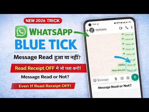 How To Know If Message Read Or Not On Whatsapp If Read Receipt Is Off-Whatsapp Blue Tick Not Showing