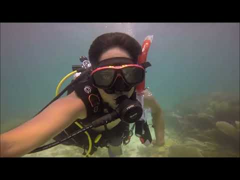 Scuba Diving into the Alligator Reef - Florida Keys