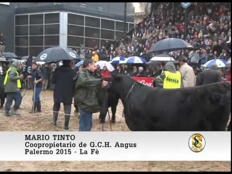 30-07-15 - Mario Tinto ( Co Propietario Gran Campeona Hembra Angus ) - Palermo 2015.