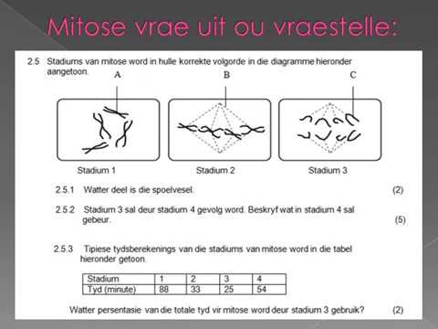 LEWENSWETENSKAP GRAAD 10: 04 Junie 2020 - periode 7 (04107)