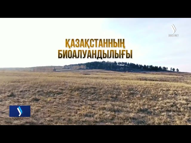 Қазақстанның биоалуандылығы: Флора мен фаунамызды қалай сақтап қаламыз?