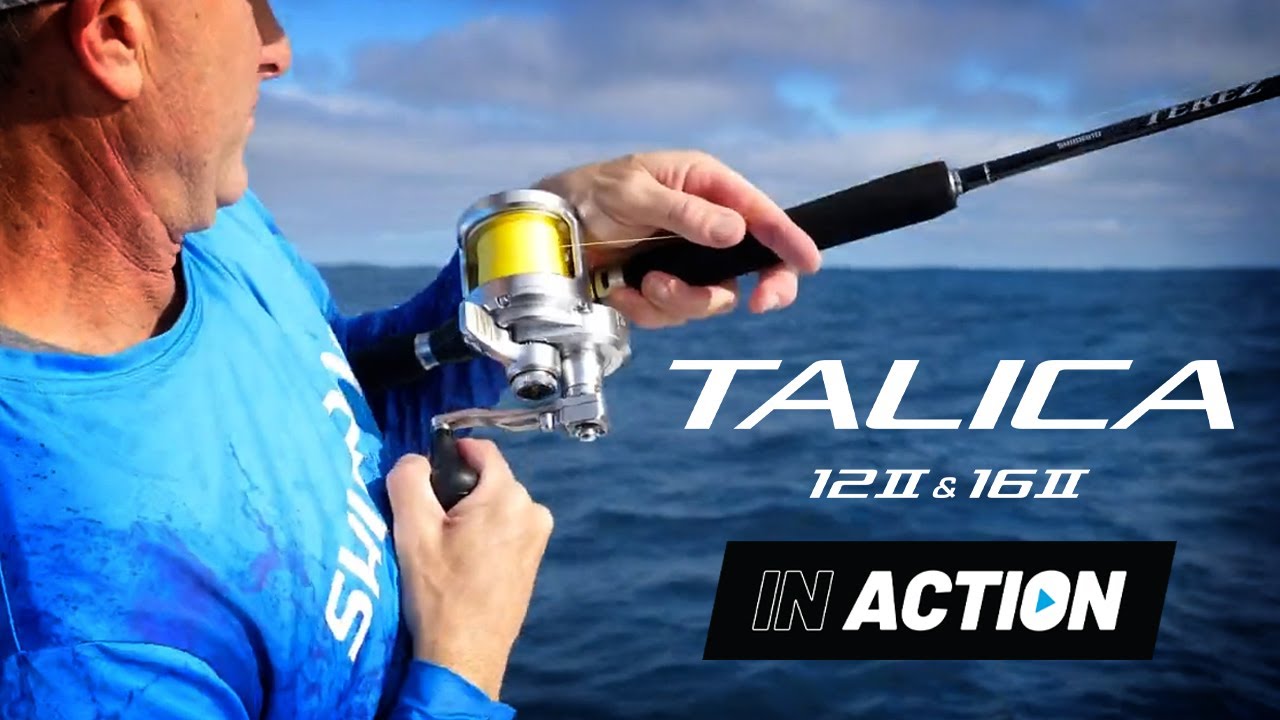 Shimano Talica 2 Speed Overhead Reel NEW video thumbnail