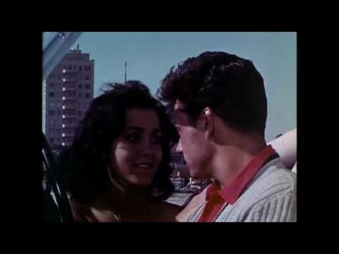 The Beau Brummels - Laugh Laugh (1964-65)