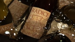 preview picture of video 'I vini dell' Azienda Paltrinieri all'Osteria della Luna di Vignola'
