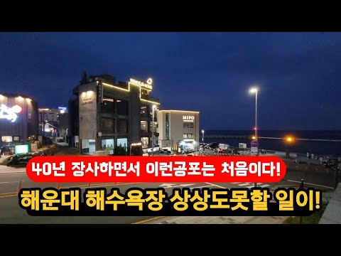 해운대미포 상인들 난리났다 40년만에 이런공포는 처음!!!