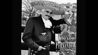 La tienda Vicente Fernández