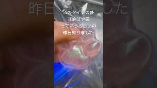 ぼやぼや袋いっぱい持ってる # #vlog #asmr