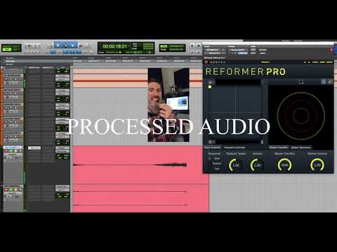 Steve Whetman Jungle Hunter Clicks Reformer