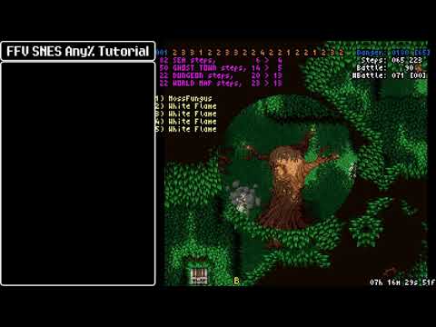 Final Fantasy V SNES Any% Speedrun Tutorial: 33 - The Void First Portion