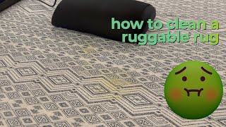 How to Wash a Ruggable Rug in 4 EASY Steps