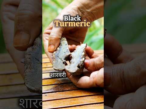 Black turmeric, bulb, 500 g