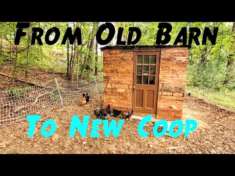 DIY Chicken Coop Build / From Fallen Barn Video