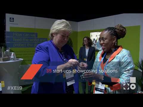 The Xynteo Exchange - 2019 Highlights