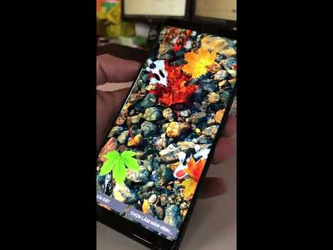 KOI Pro 3D Live Wallpaper Video