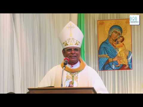 ஆயரின் மறையுரை - புனித அல்போன்சா திருத்தல திருவிழா