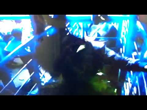 Gerson Lopes x Everest da Cia Renato Zanovelo . torinha foi o campeão ganhando um carro zero