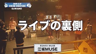 江坂muse キャパ موقع ويب حيث يمكنك مشاهدة مقاطع فيديو موسيقية مجانية