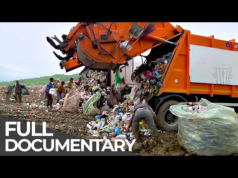Desperate Hours: Environmental Disasters