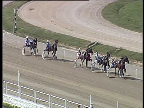 Trotto 12/10/2018 - prova di qualifica