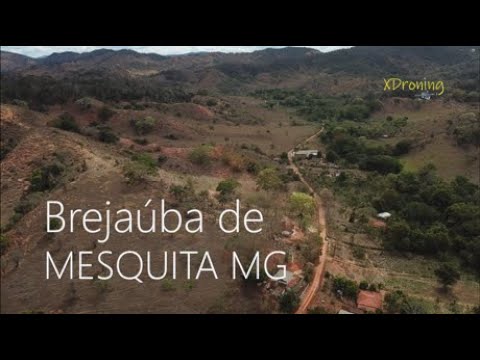 Brejaúba: Memórias de um Encontro no Coração de Mesquita