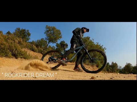 " ROCKRIDER DREAM " AM100S V2