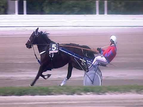 Trotto 16/04/2019 - 2ª corsa