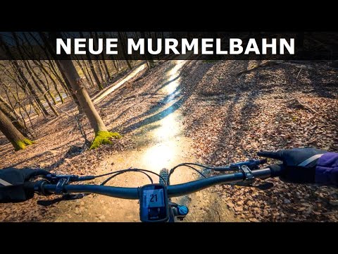 New flow trail with the Haibike Lyke CF11