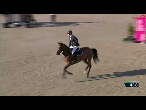 Vivolta de Gree (Diamant de Semilly x Sandro Boy) 3rd Place YR GP Hagen