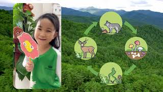 3B Exit Point Rainforests Term 1A 2025-26| 3B Khám Phá Thế Giới Rừng Nhiệt Đới Kỳ 1A Năm học 2025-26