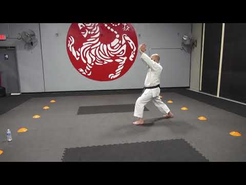 Learn Gankaku with Sensei Marcus Hinschberger JKA 5th Dan