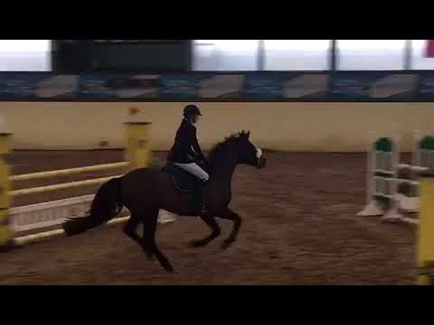 Cyclone De Vains - Viola Sofia Betti