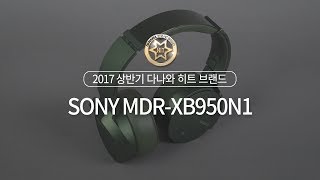 SONY MDR-XB950N1 (정품)_동영상_이미지