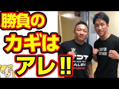 堀口vs朝倉海のガチ勝敗予想に一同納得‼格闘技歴23年のベテランが語る勝負のカギとは…【おしえて！くじら先生】