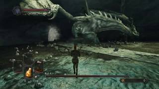 【PS4】【DARK SOULS Ⅱ】sl1 #34 眠り竜シン