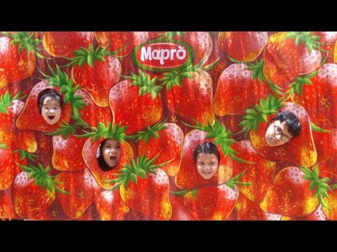 anita yes Mera di...