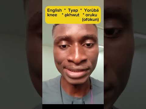 How Lexically Similar are the Tyap and Yoruba Languages? #language #similarities
