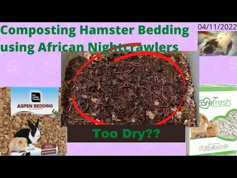 Compost Hamster Bedding with ANCs - Too Dry?? 04/11/2022