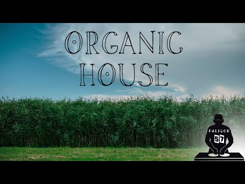 Dj PALIGOR   Weekly set 57 ORGANIC HOUSE DJ Mix 🎧 Pioneer DDJ 400