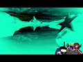 Preview 2 Paramount Logo Effects ET1 Ident 1996 Effects