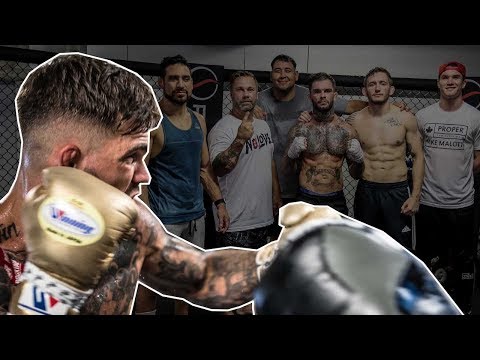 UFC227 NoLove Camp Ep9 : Fight simulation - Training - Q and A + Plus intense grappling match