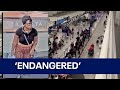 Cleveland Teen Left Atlanta Airport With Unknown Man FBI Says