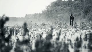 Gruff Rhys - Liberty (Is Where We'll Be) (FULL ALBUM STREAM)