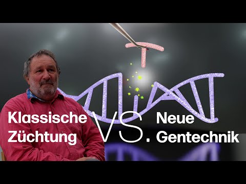 Klassische Züchtung vs. Gentechnik: Valentin Blatter erklärt die Grundlagen seiner Rebenzüchtung