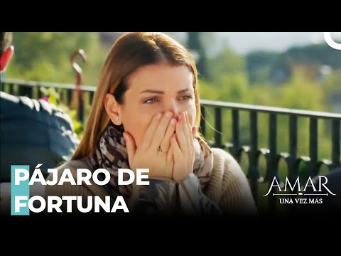 Deniz Es Rica Ahora - Amar Una Vez Más