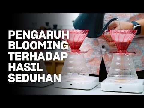 JANGAN SALAH TUANG AIR PAS BLOOMING!