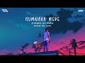 Jubin Nautiyal Humnava Mere Afterwave Lofi Remake Sourabh Sam Visual DJ Acid